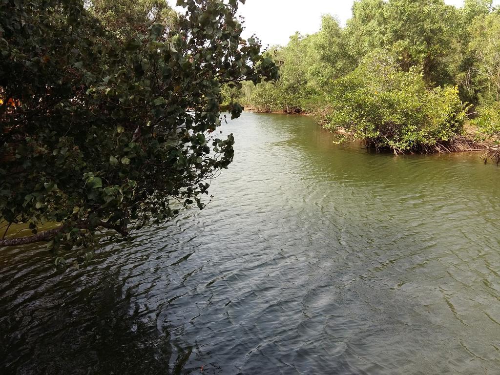 Mangroves & More @ Cambodia Sihanoukville Exteriér fotografie